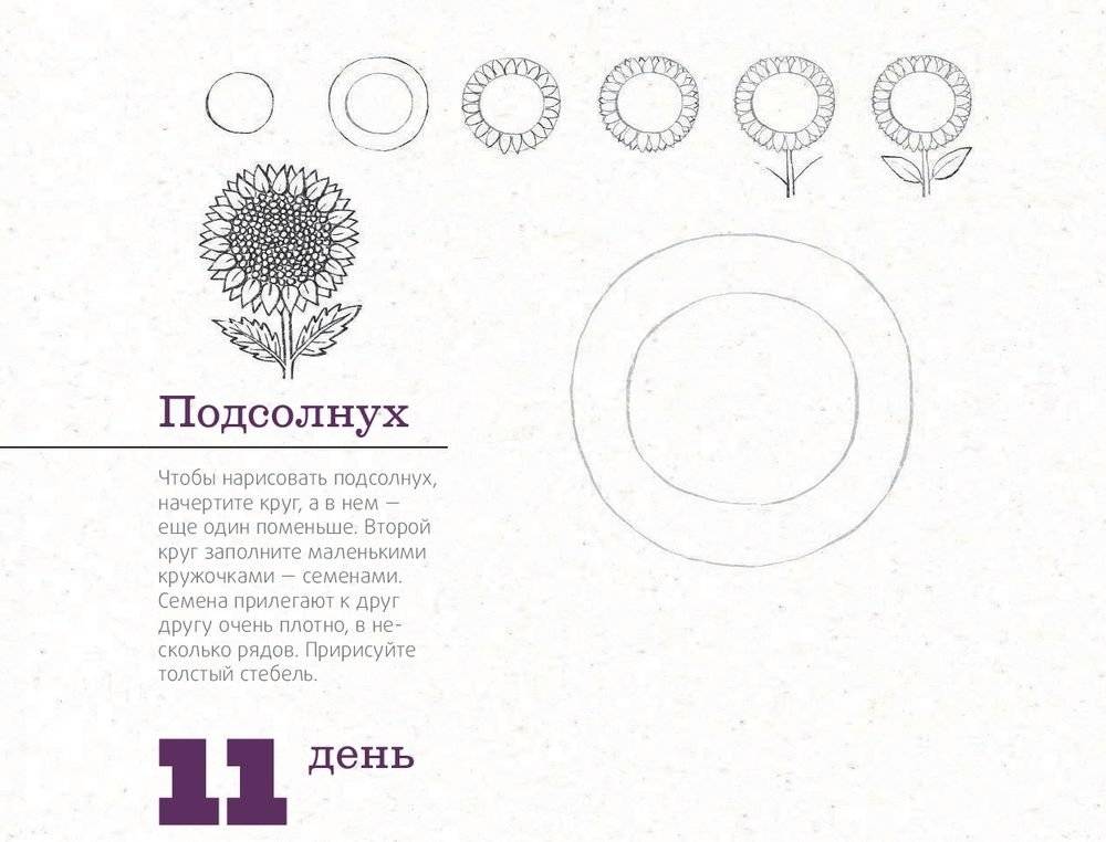 365 дней рисования. Пошаговые техники для начинающих художников фото книги 5