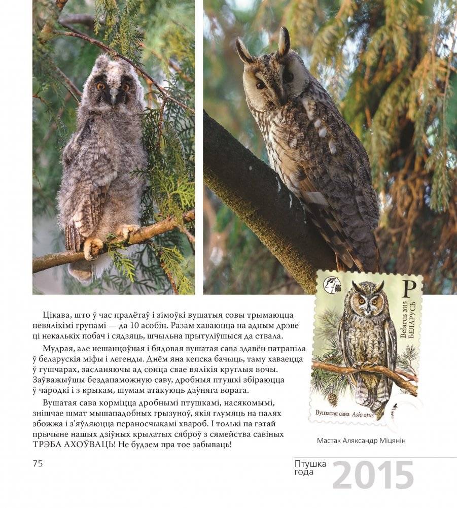 Птушка года Беларусі 2000—2020 фото книги 7