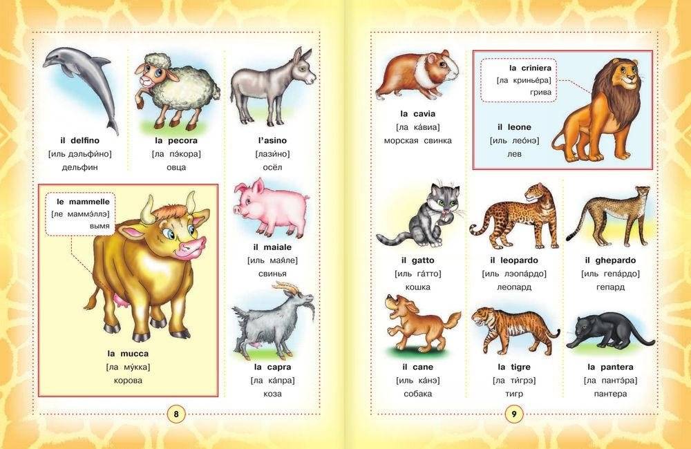 Итальянско-русский визуальный словарь для детей фото книги 6