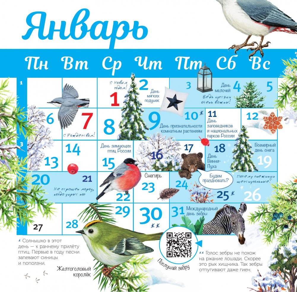 Календарь живой природы с голосами животных. 2025 год фото книги 2