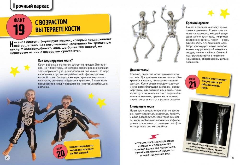 Всё о теле человека фото книги 6