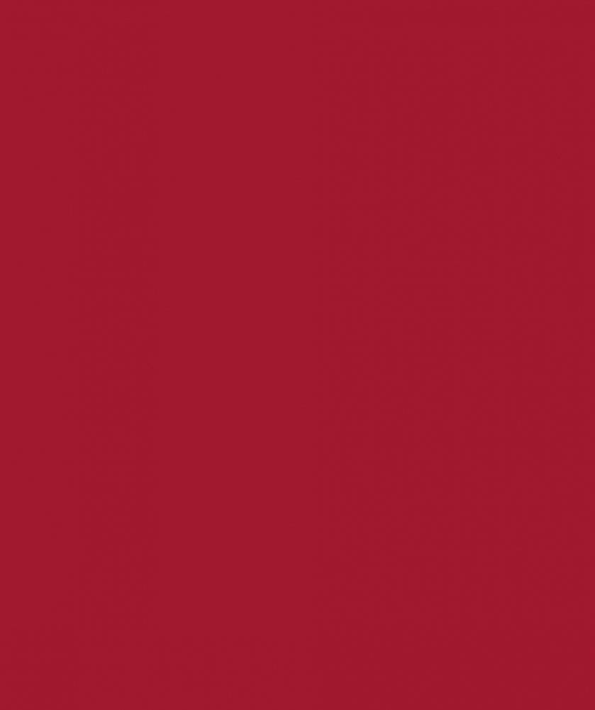 Новогодний атлас. Самые веселые, вкусные (и даже страшные) праздничные традиции 55 стран фото книги 8