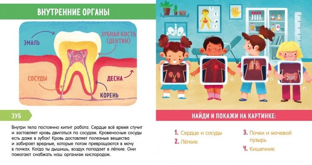 Найди и покажи, малыш. Моё тело фото книги 6