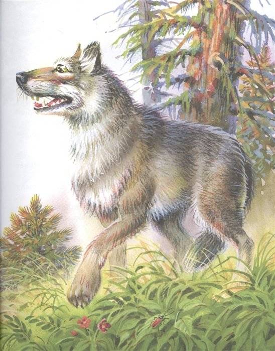 Лучшие сказки и рассказы для детей фото книги 6