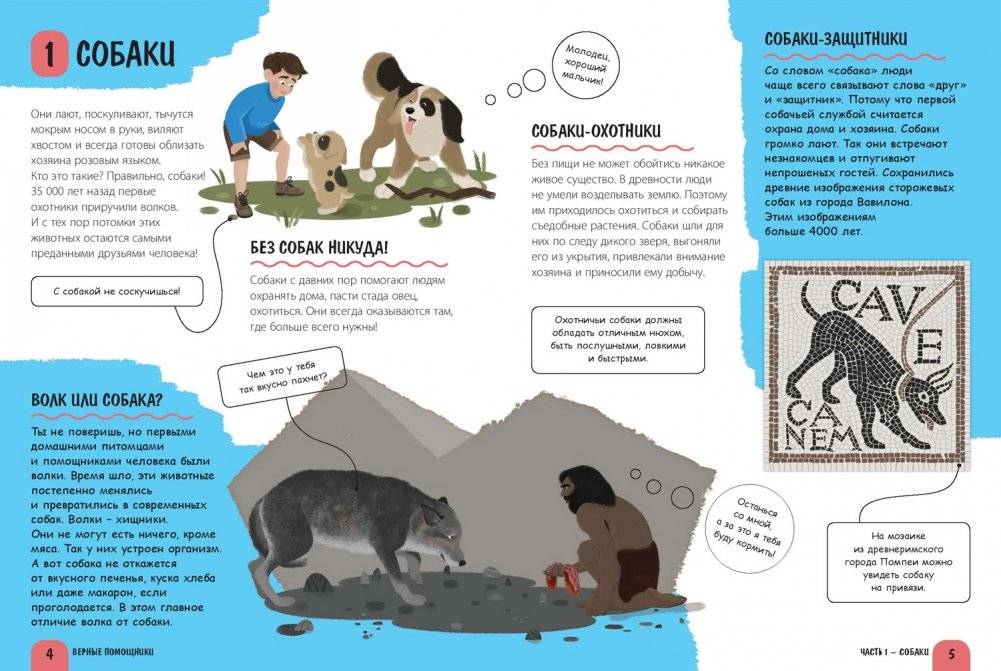 Верные помощники фото книги 2