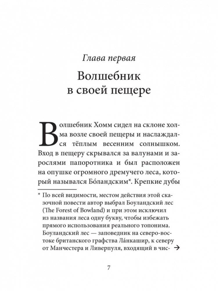 Волшебник Боландского леса фото книги 2