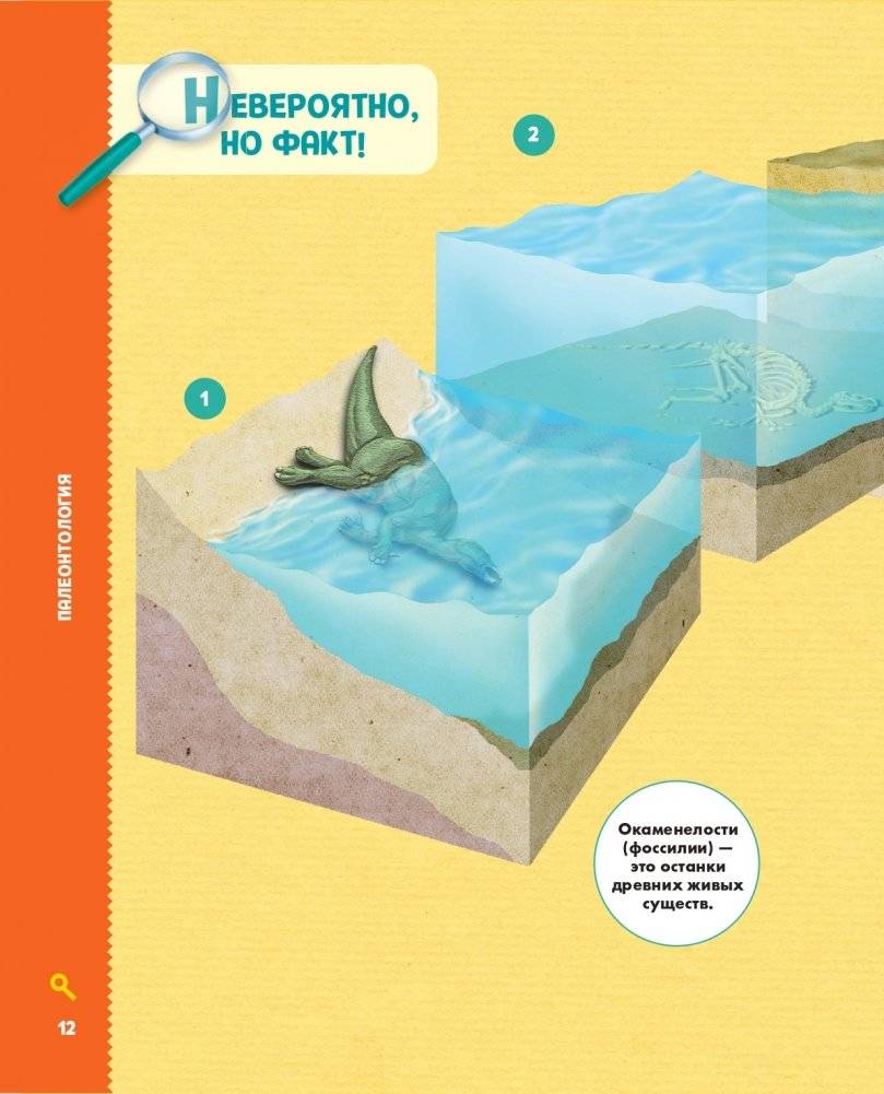 Динозавры фото книги 13