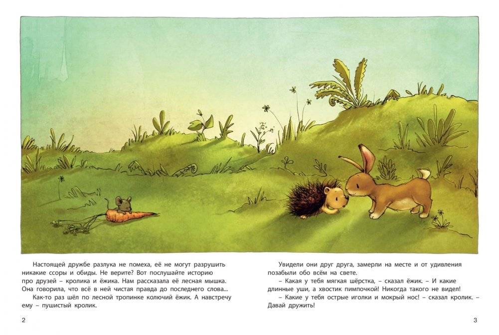 Ты мой лучший друг! фото книги 3