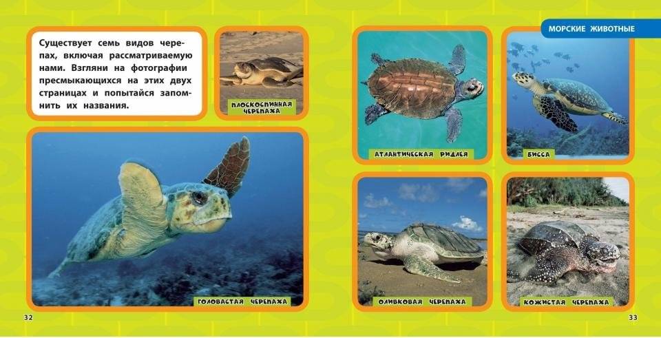 Животные. Моя первая энциклопедия фото книги 4