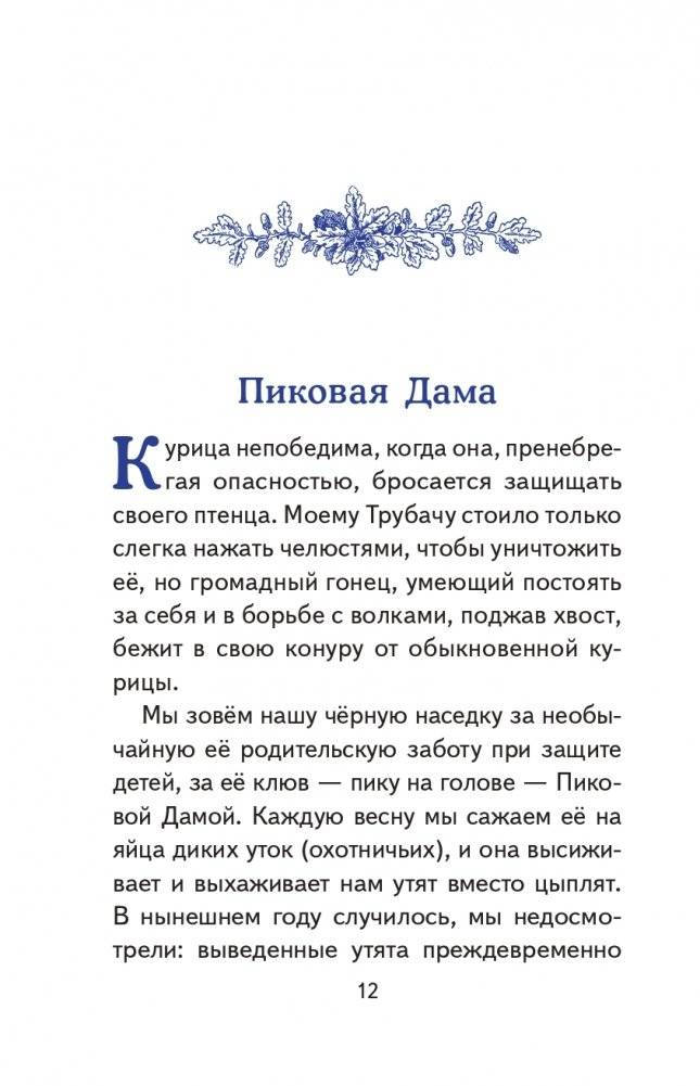 Рассказы о природе (ил. С. Ярового) фото книги 8