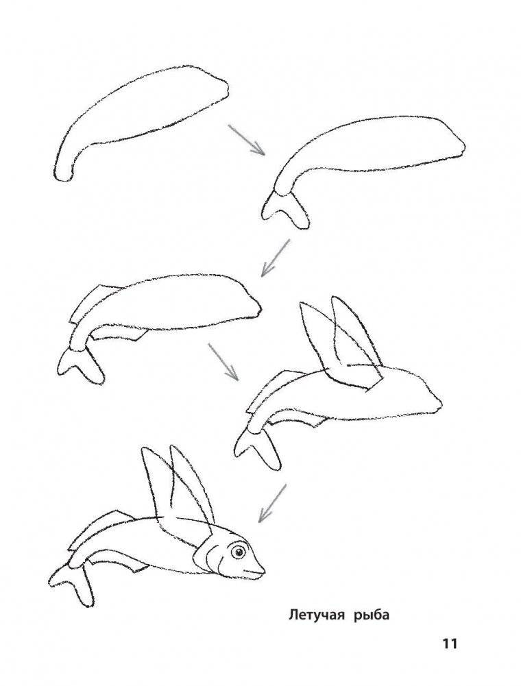 Рисование. Первые шаги фото книги 10