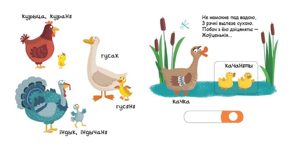 Жывёлы на ферме фото книги 2