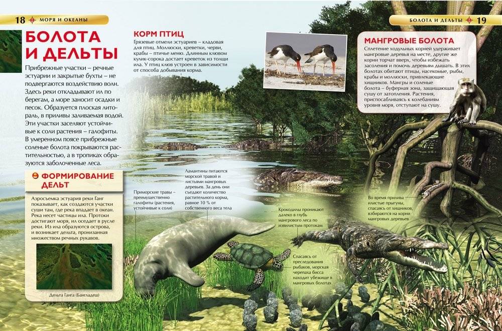 Моря и океаны. Детская энциклопедия фото книги 3