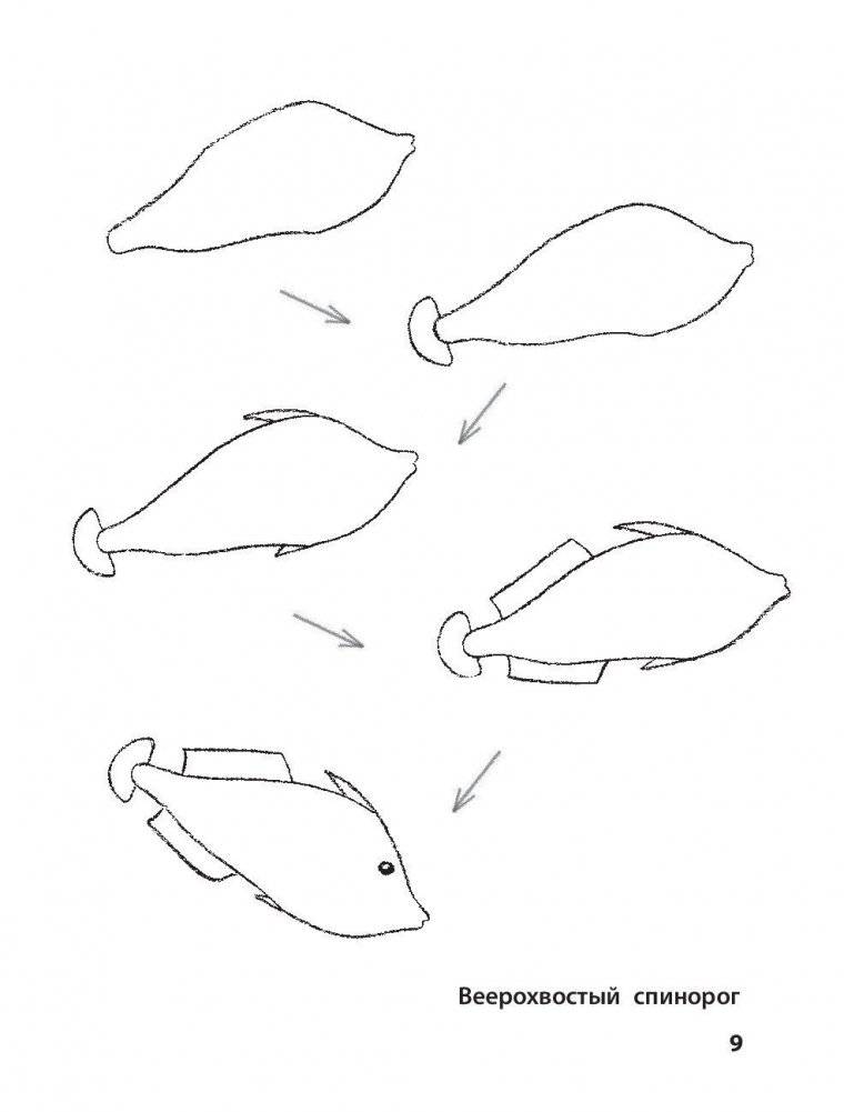 Рисование. Первые шаги фото книги 8