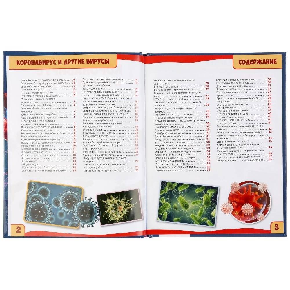 Коронавирус и другие вирусы. 100 фактов фото книги 2