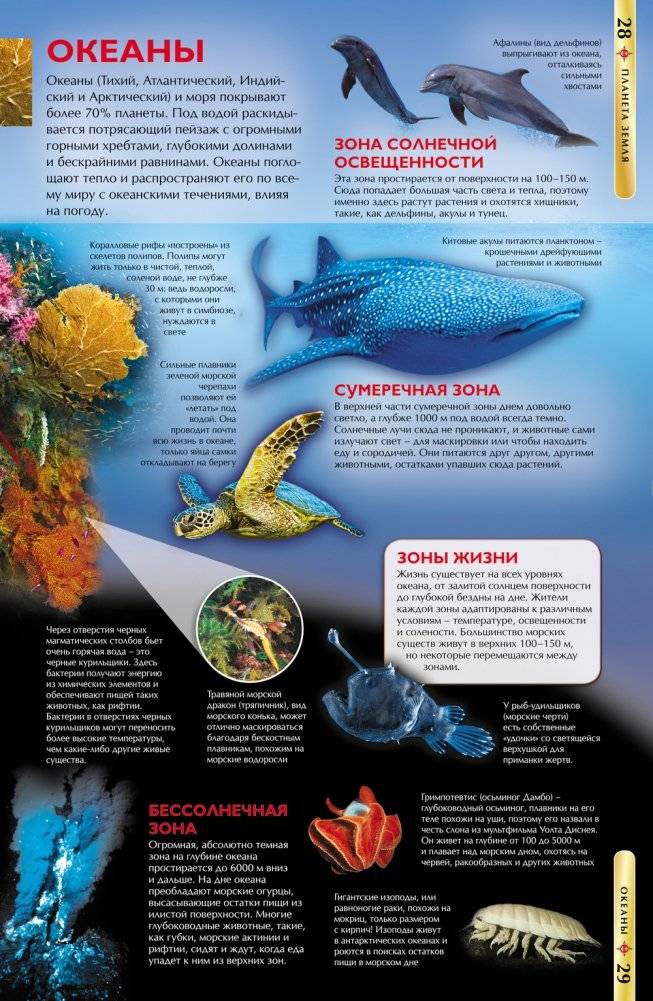 Планета Земля. Детская энциклопедия фото книги 2