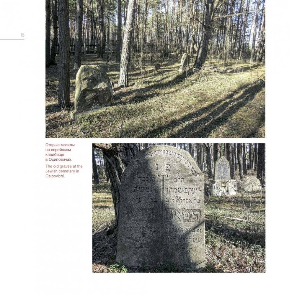 Осиповичи: трагические страницы фото книги 3