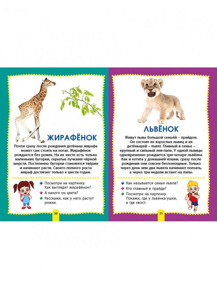Детеныши животных. Фотокнига для самых маленьких фото книги 7