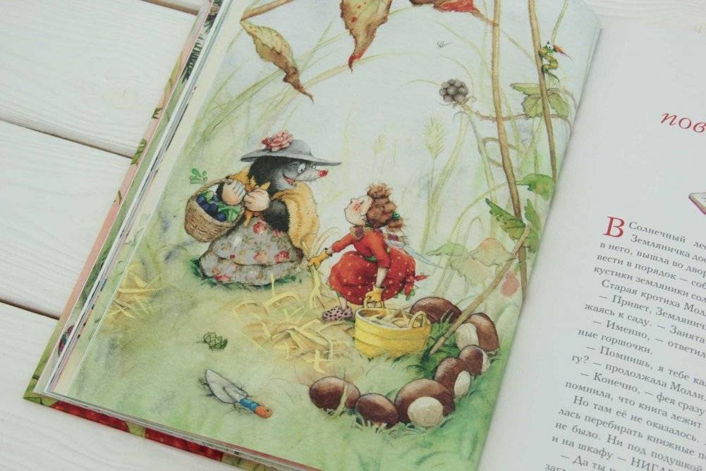 Земляничная фея. Весёлое путешествие фото книги 4