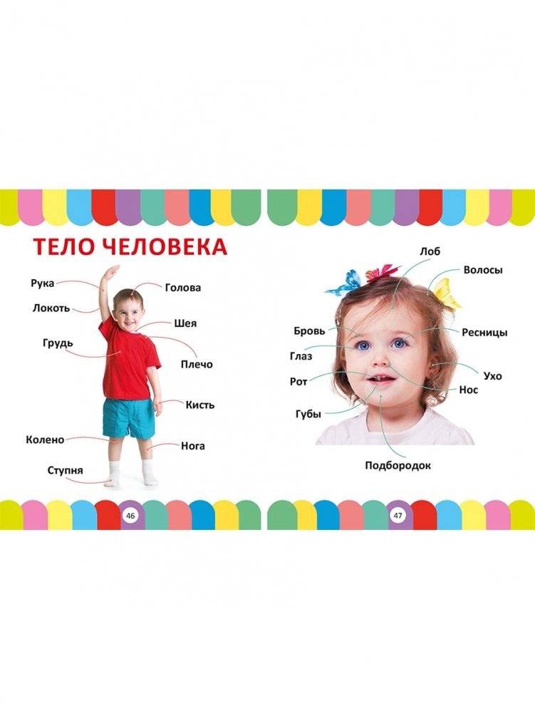 Главная книга малыша от 1 года до 3 лет. Фотокнига фото книги 5