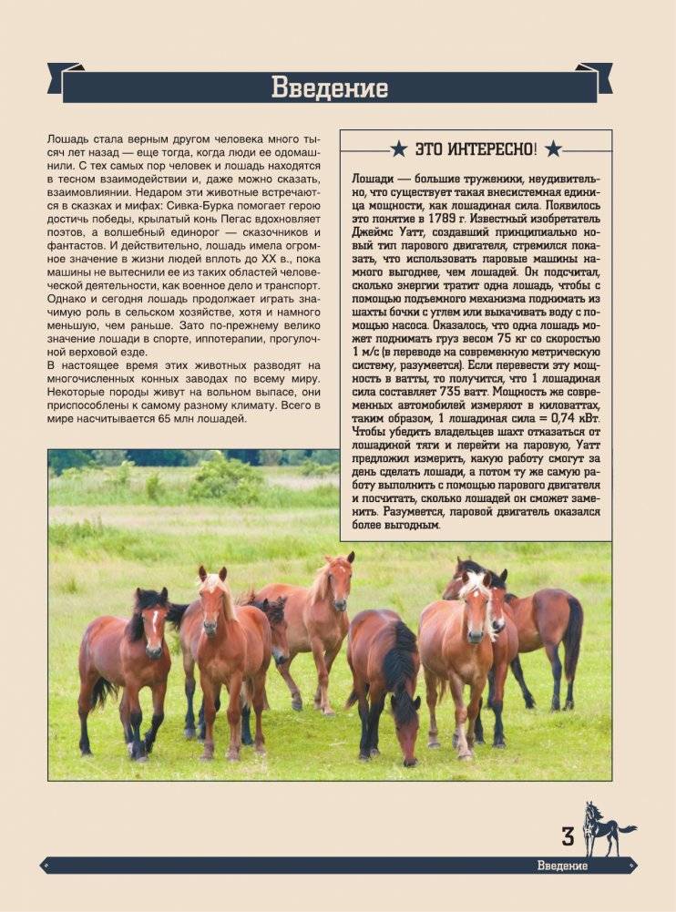 Большая энциклопедия. Лошади фото книги 4