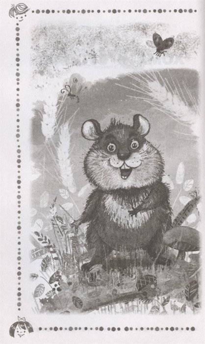 Сказки о Хоме и Суслике и другие истории фото книги 4