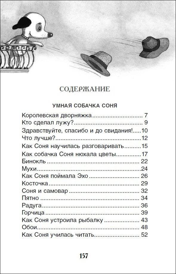 Умная и знаменитая собачка Соня фото книги 4