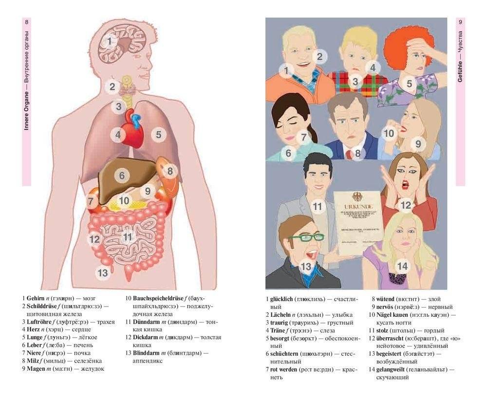 Немецкий язык в картинках. 1500 самых употребительных слов на каждый день фото книги 6