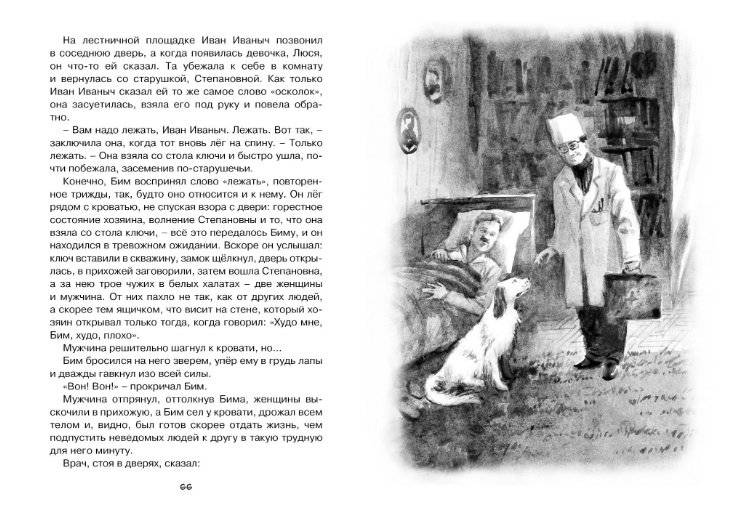 Белый Бим Черное ухо фото книги 8