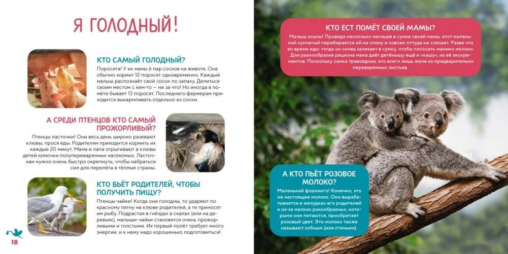 Моя первая книга о животных. 200 фотографий фото книги 5