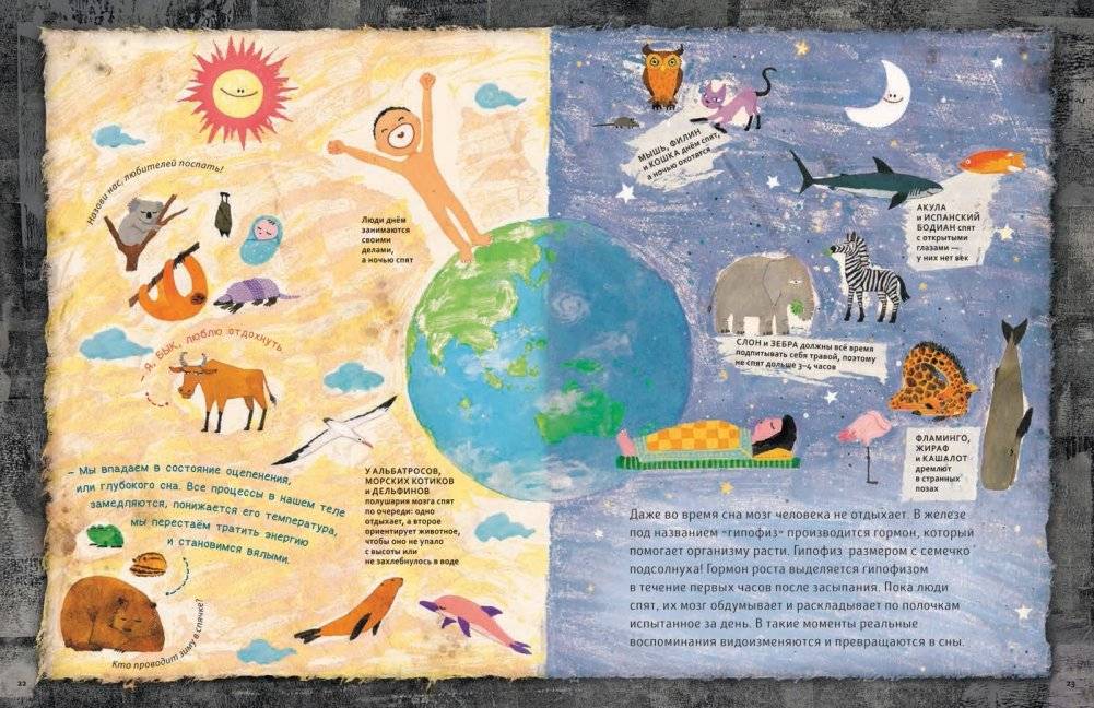 Человековедение. Один день в звериной школе фото книги 2