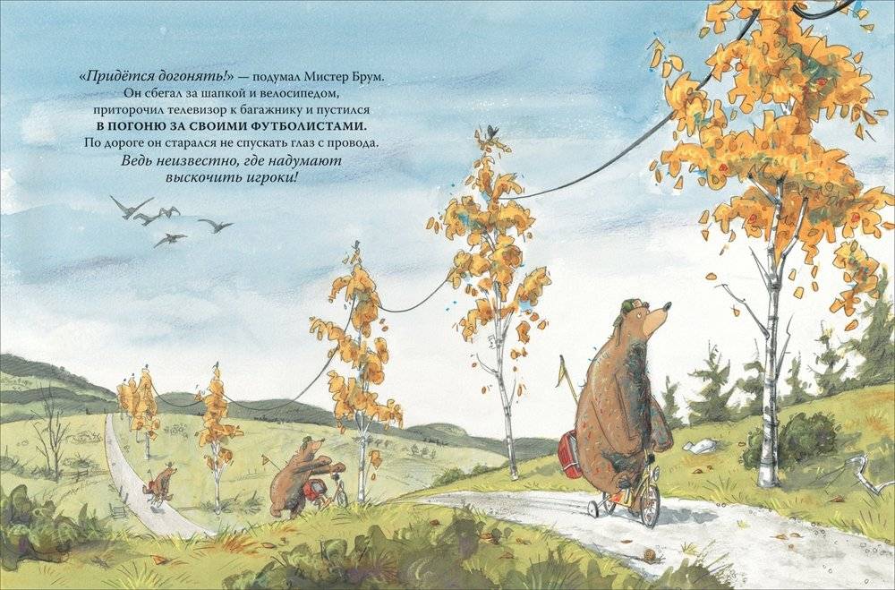 Мистер Брум и загадочный телевизор фото книги 2