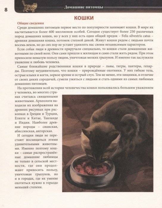 Энциклопедия. Домашние питомцы фото книги 3