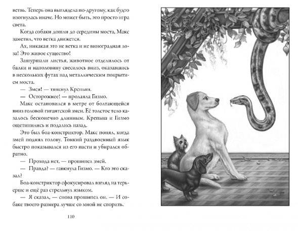 Верные. Книга 3. Дорога чудес и невзгод фото книги 5