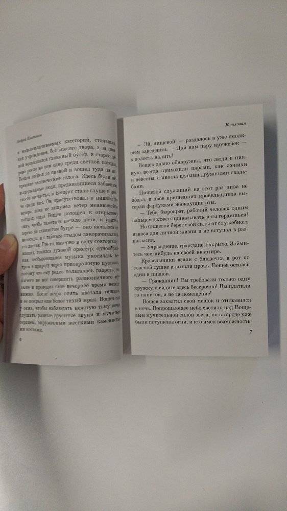 Котлован фото книги 4