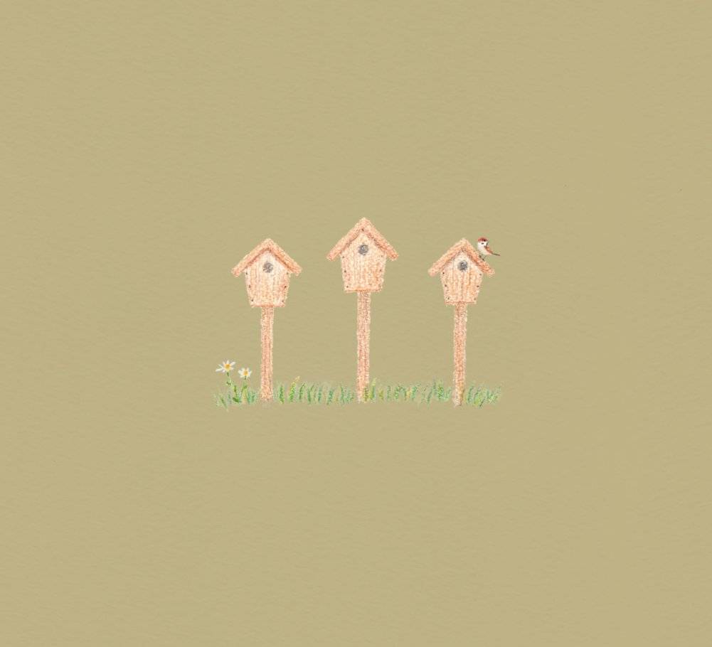 Рисуем милых птиц фото книги 11