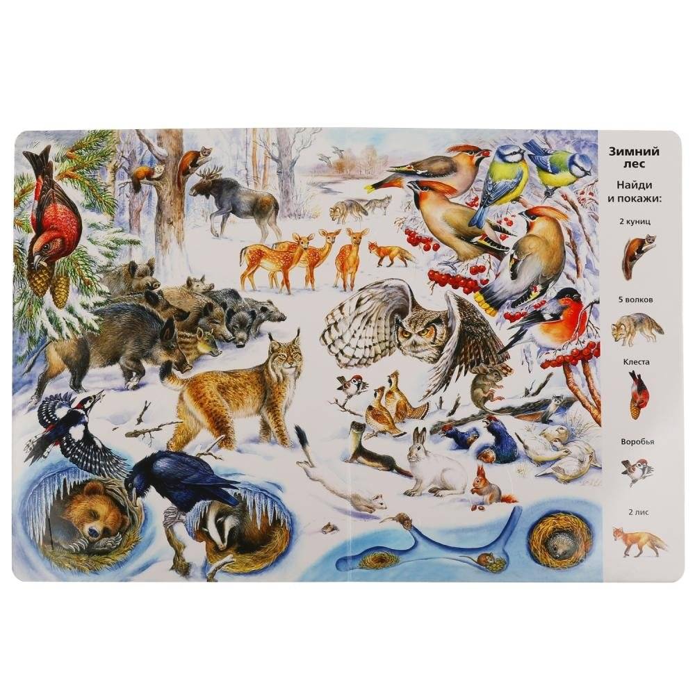 Развивающая книга с окошками "Виммельбух. Животные" фото книги 3