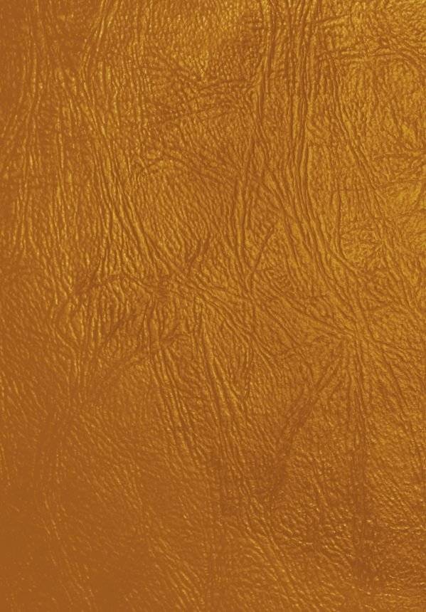 Трактат о военном искусстве фото книги 2