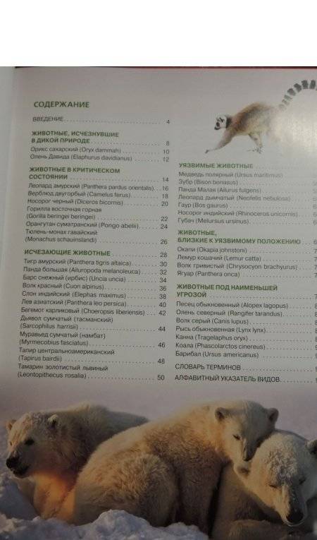 Красная книга мира фото книги 6