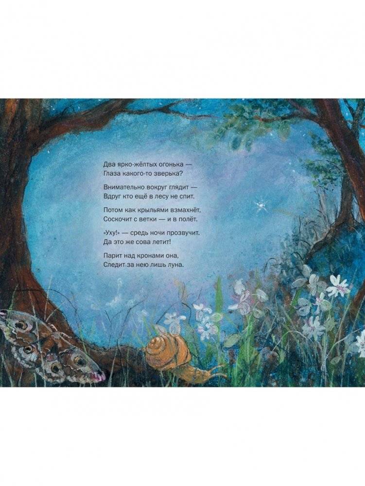 Летим в страну эльфов фото книги 4