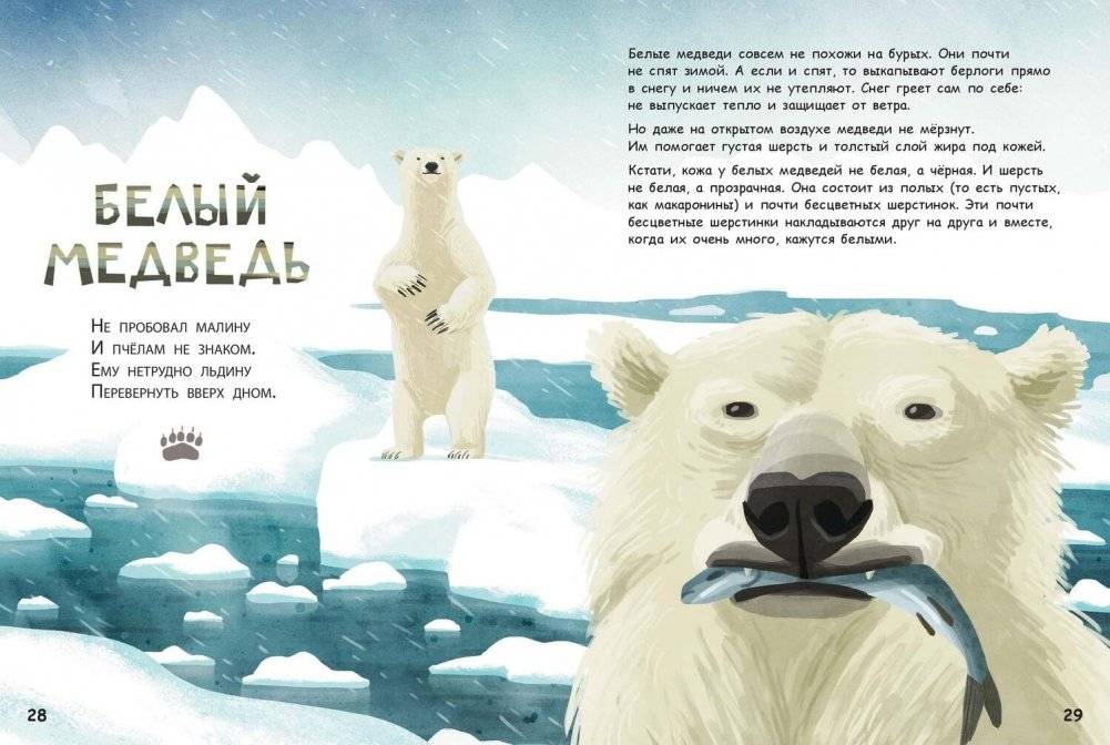 Они такие разные! фото книги 6