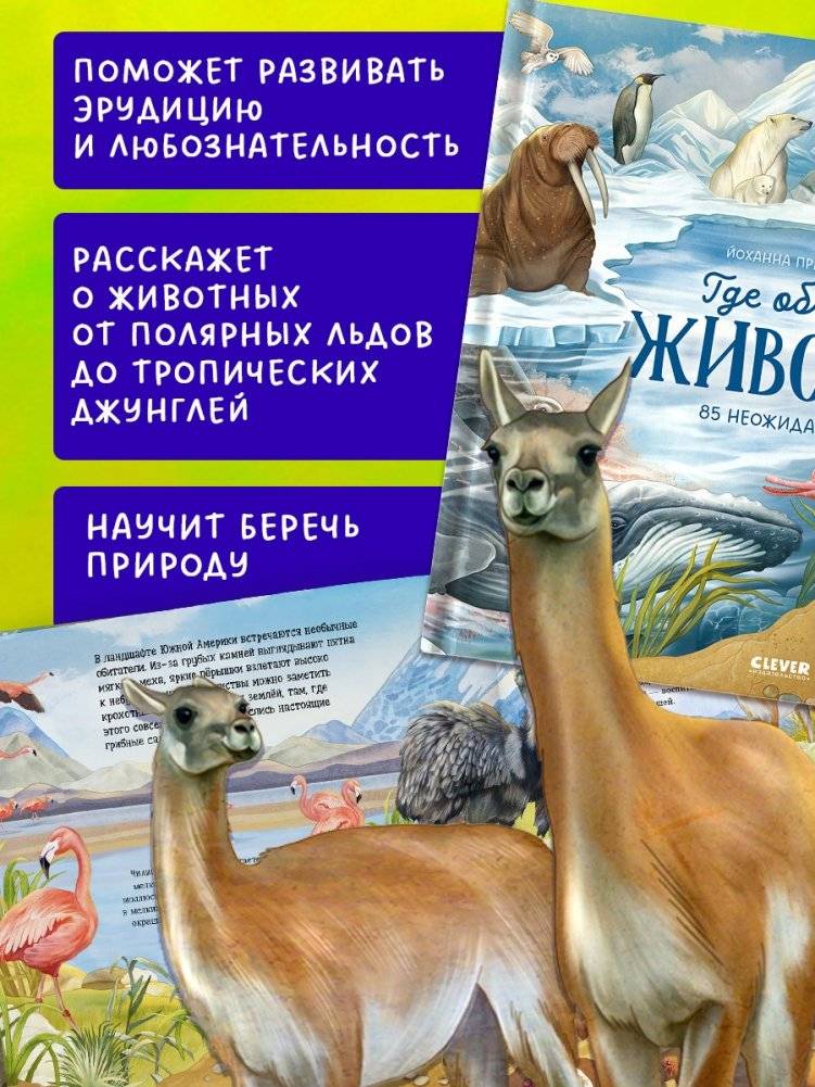 Где обитают животные? фото книги 3