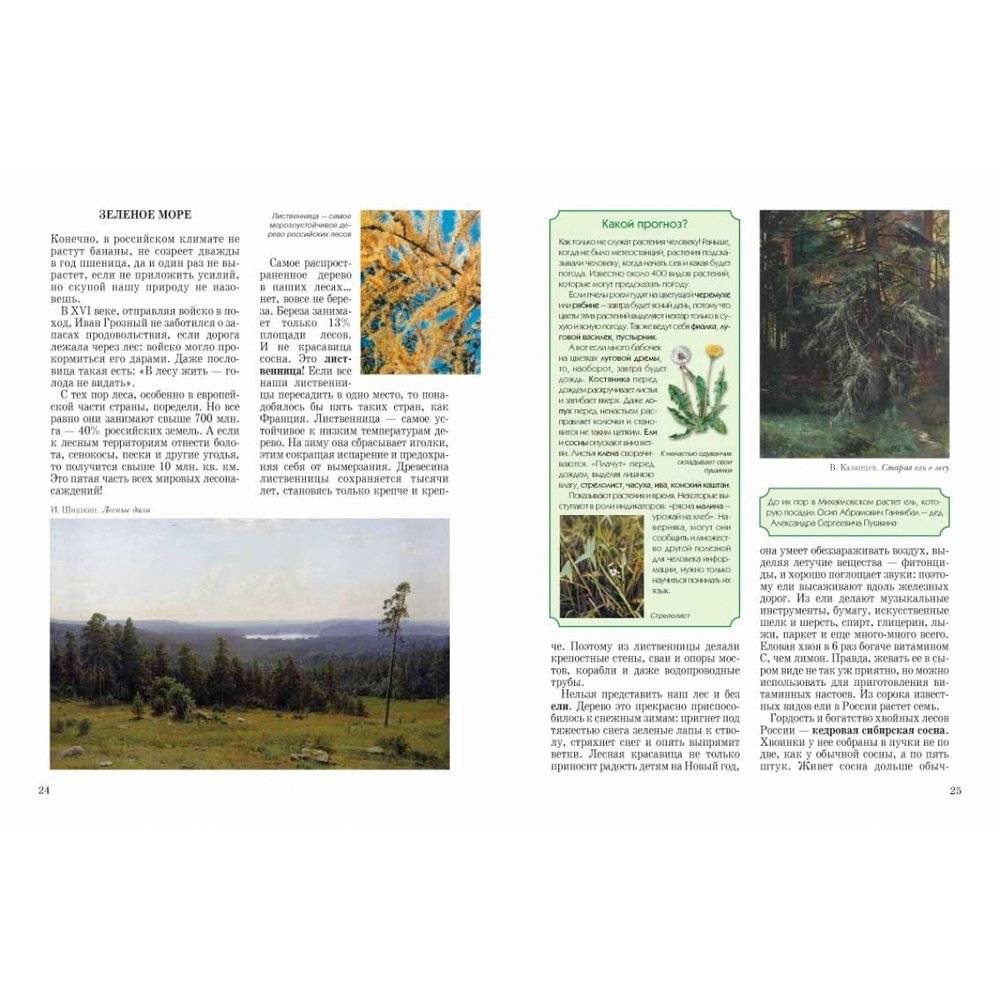 Природа России фото книги 5
