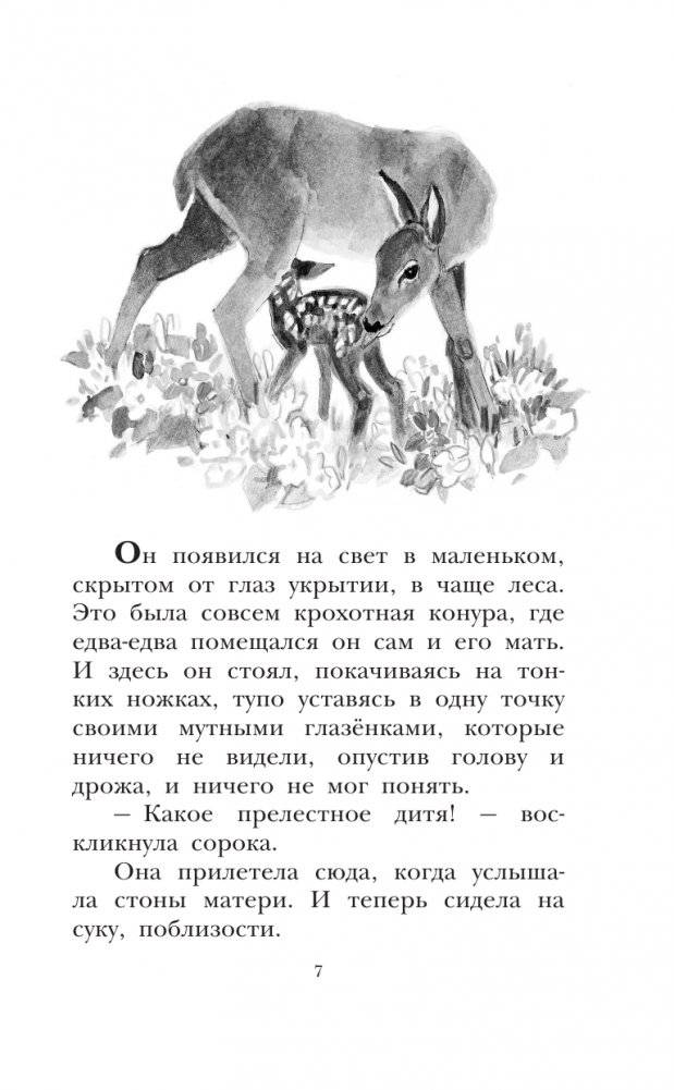 Бемби фото книги 8