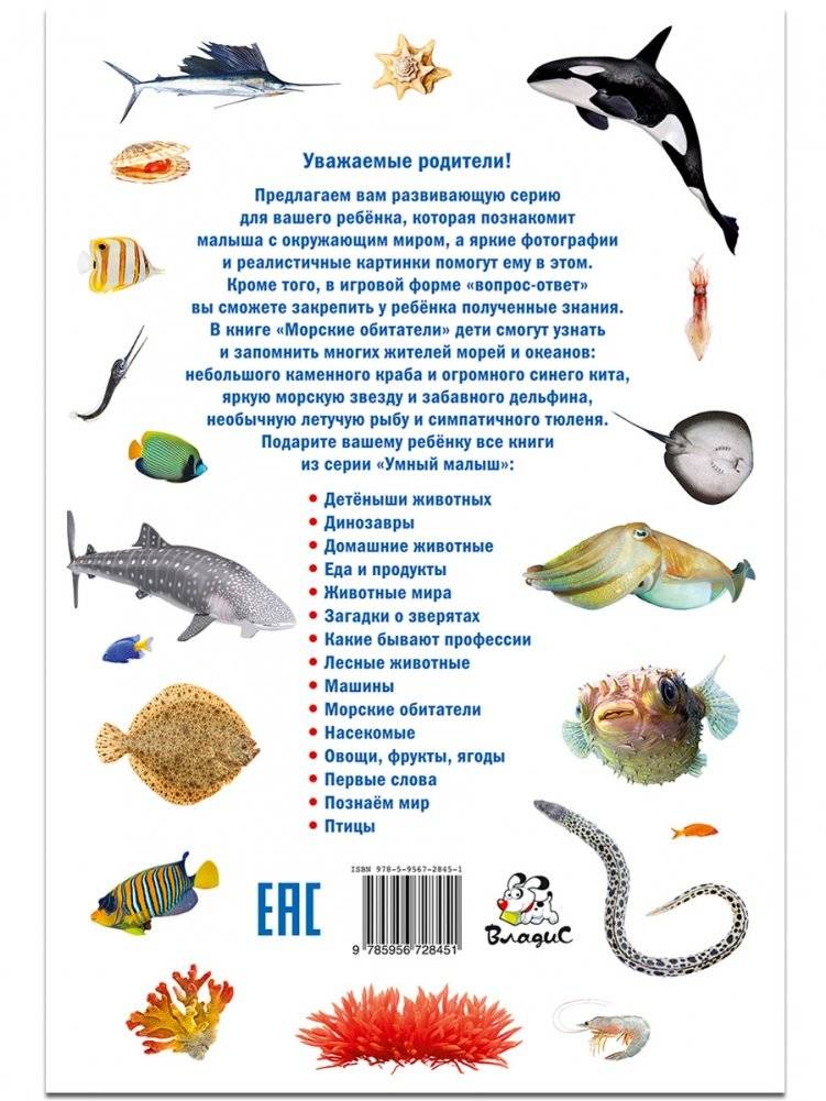 Морские обитатели. Фотокнига для самых маленьких фото книги 2