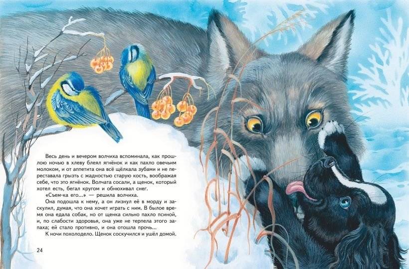 Усы, перья и хвосты. Рассказы русских писателей о животных (ил. М. Белоусовой) фото книги 2