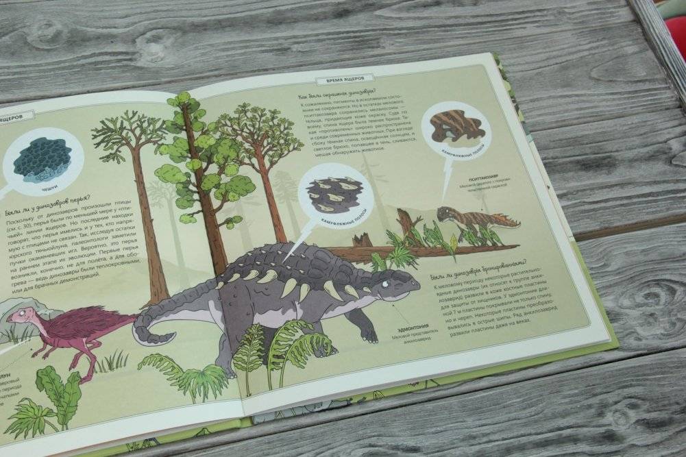 Динозавры фото книги 3