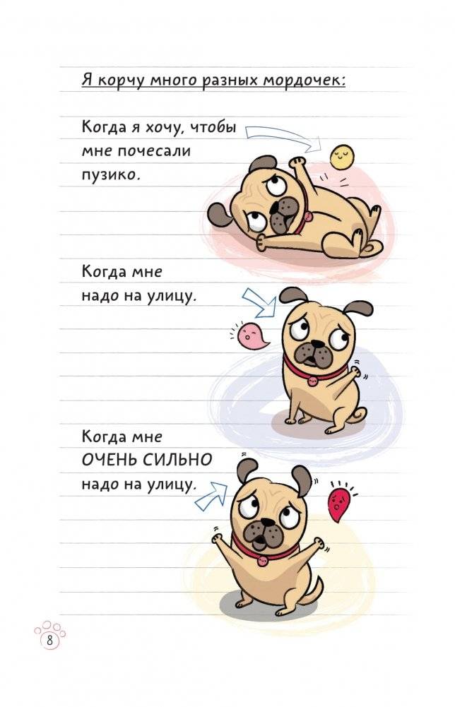 Мопс взлетает в небо фото книги 8