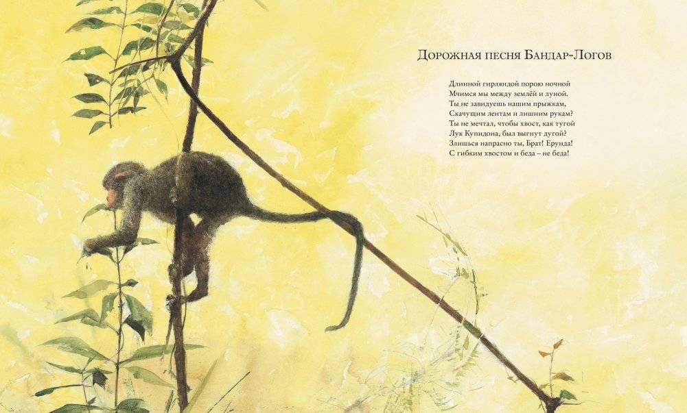 Книга джунглей фото книги 7