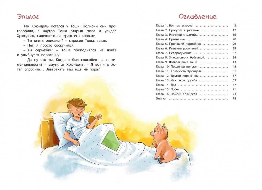 Поросёнок Хрюндель фото книги 6